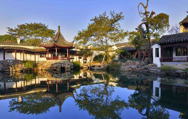 the master of nets garden